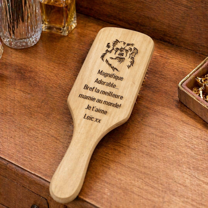 Brosse à cheveux